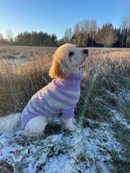 Striped DOG Sweater