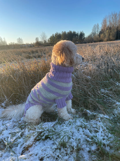 Striped DOG Sweater