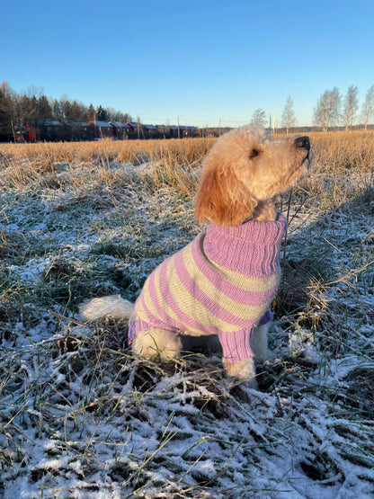 Striped DOG Sweater