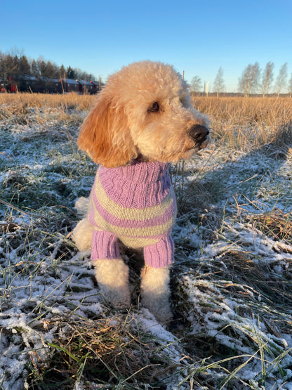 Striped DOG Sweater