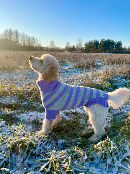 Striped DOG Sweater