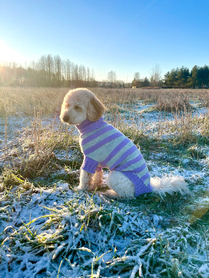 Striped DOG Sweater