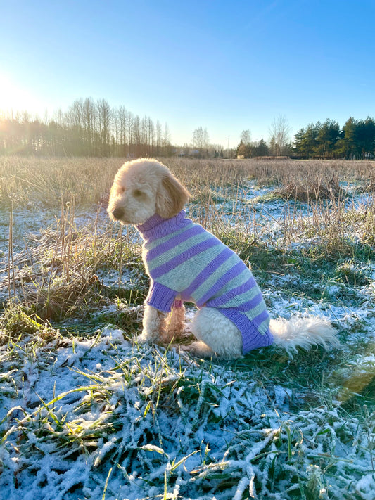 Striped DOG Sweater