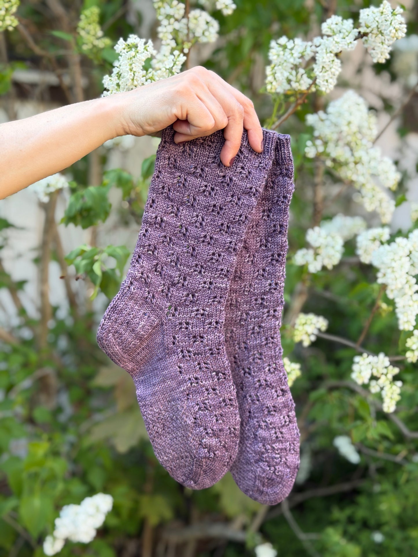 Lilacs Socks